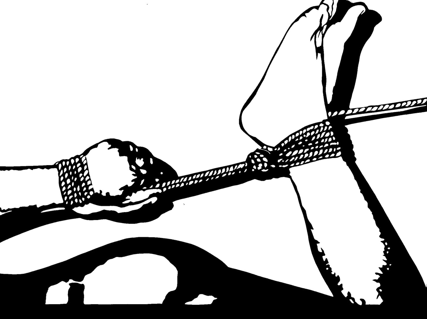 HOGTIE, by Joseph Bean